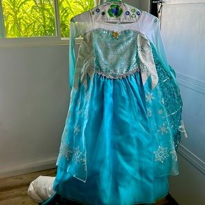 Beautiful Elsa costume